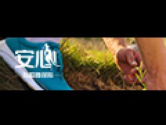 ����С��˽������Σ�հ���E��